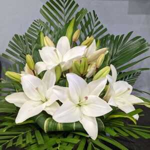 Classic Lily display
